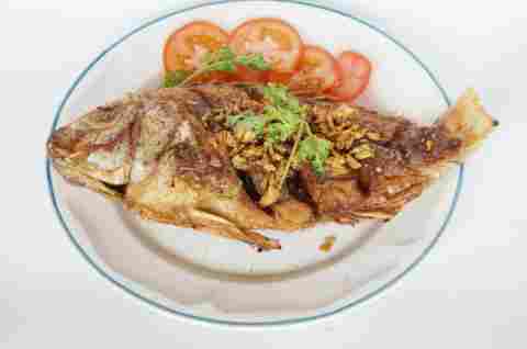 Fried tilapia